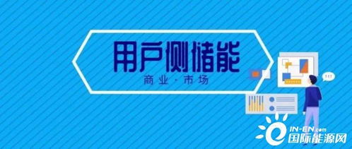 赚钱还是亏损 电力辅助服务市场好似一团迷局