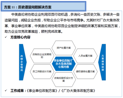 中美嘉伦“双百行动”国企改革咨询服务产品手册